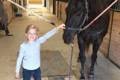 chip01-groominglesson